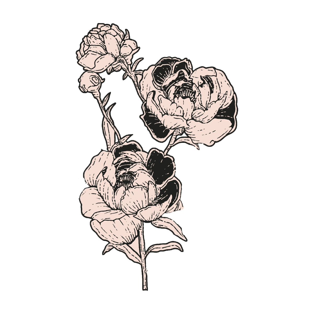 Fleurs pictogramme