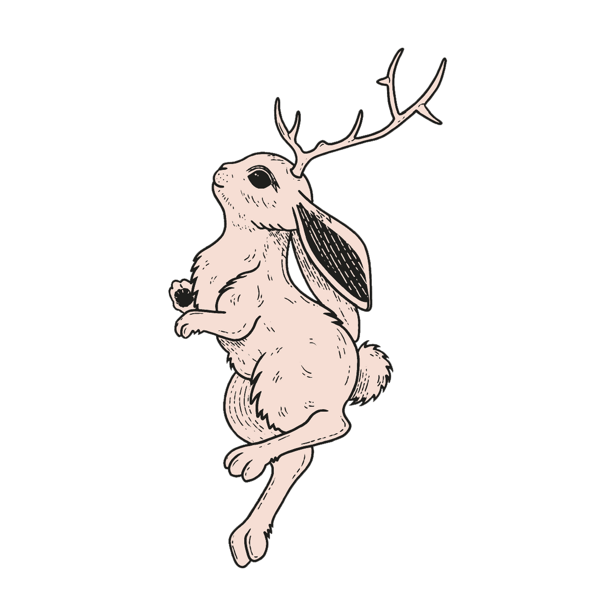 Lapin pictogramme